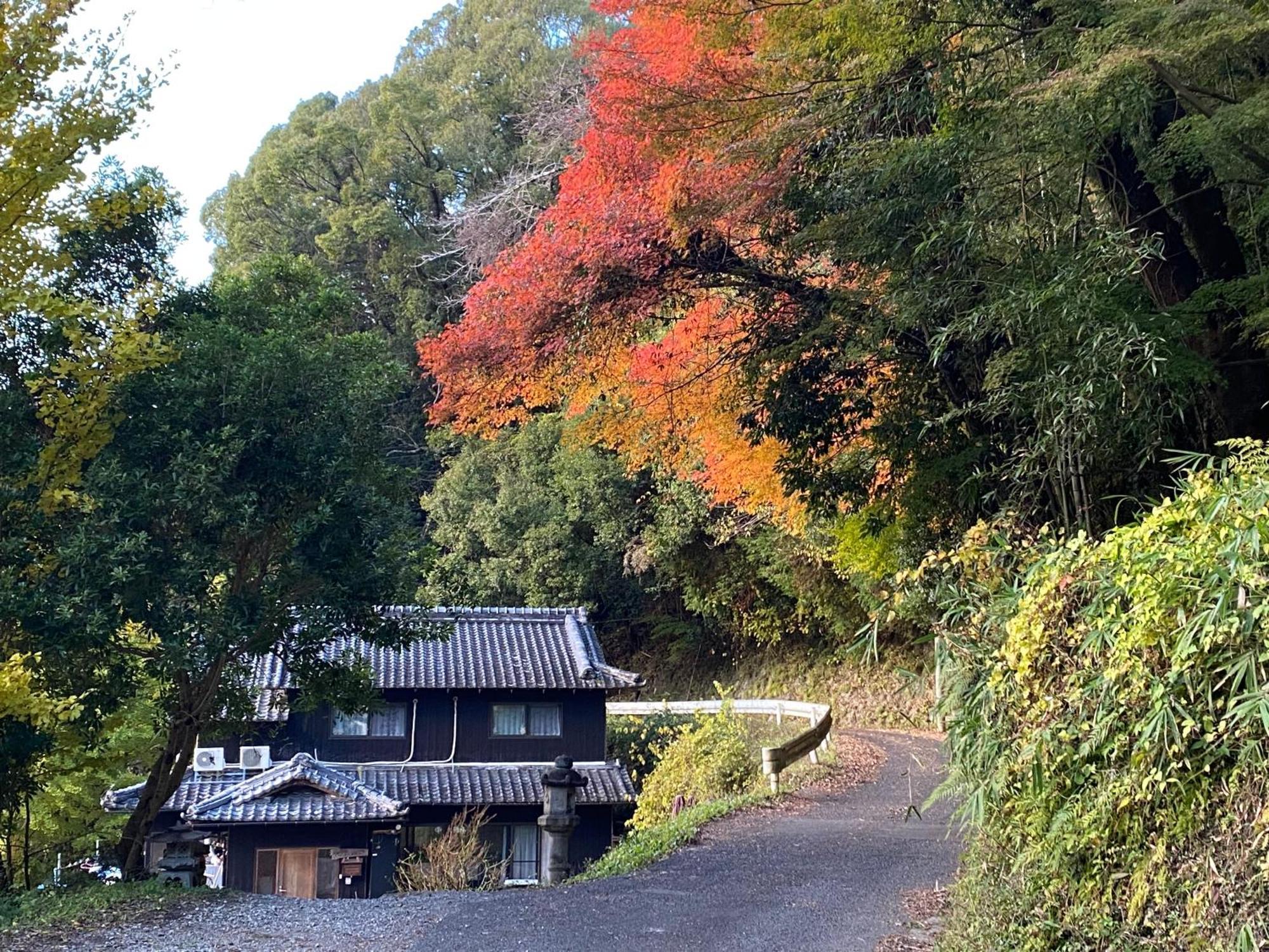 Kizuna Guesthouse Kizugawa Экстерьер фото